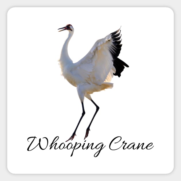 WHOOPING CRANE Sticker by Cult Classics